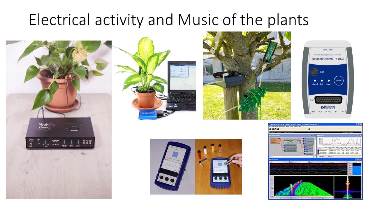 The scientific basis of the music of water and plants