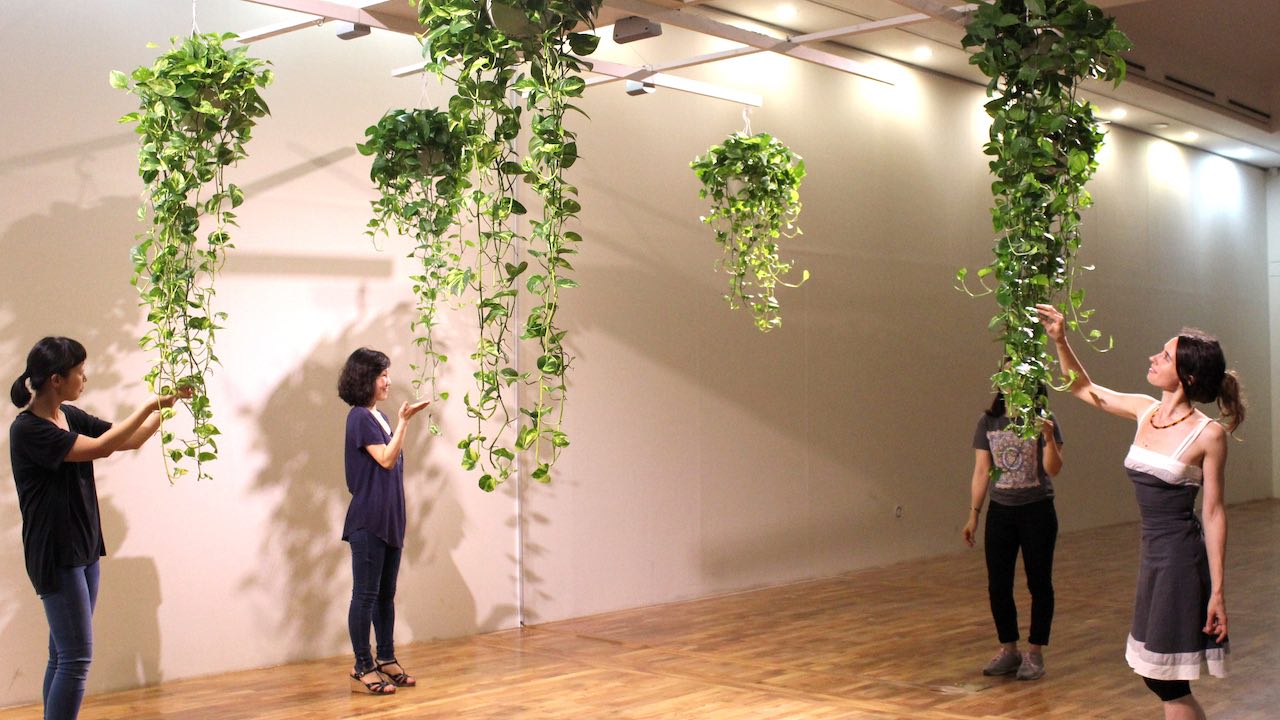 Sensitive and interactive musical plants